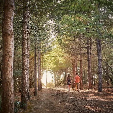 Mh300 Le Clarys 5 Etoiles